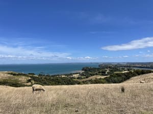 Shakespearb Regional Park